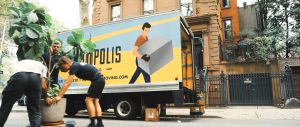 Movers load boxes and a potted plant into a moving van.