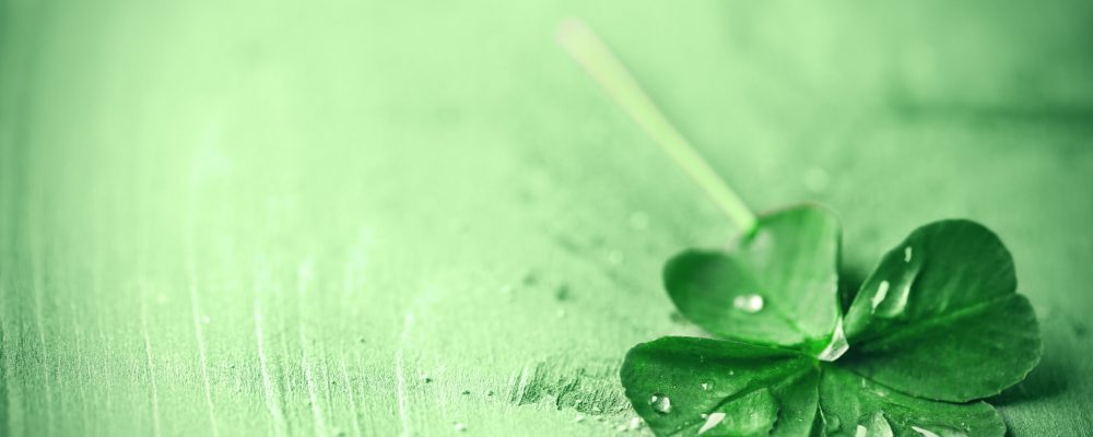 St.,Patricks,Day,,Clover,Leaf,On,Green,Wooden,Background