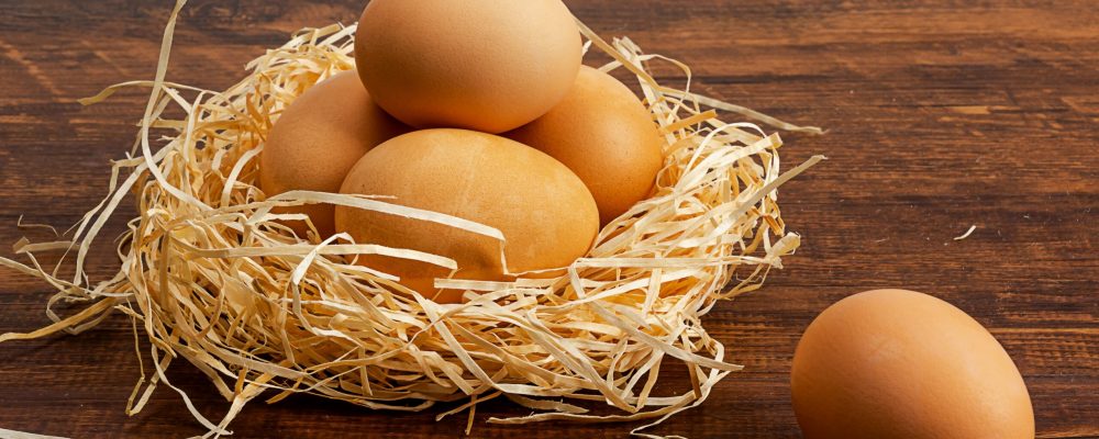 Photographic,Images,Of,Primitive,Soil,Eggs