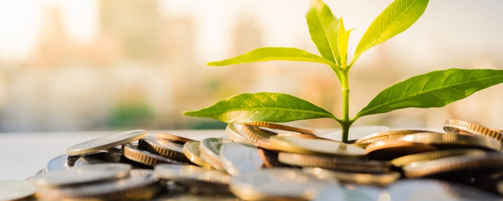Financial,Growth,,Plant,On,Pile,Coins,With,Cityscape,Background Financial,Growth,,Plant,On,Pile,Coins,With,Cityscape,Background
