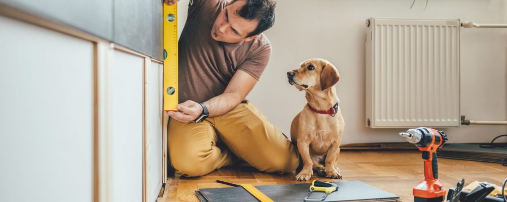 Man,Doing,Renovation,Work,At,Home,Together,With,His,Small