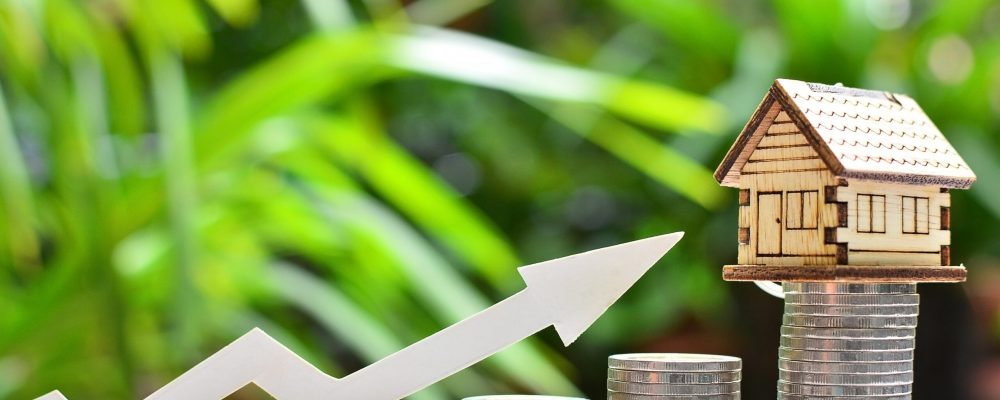Money,Coins,Saving,Set,Increase,For,Concept,Investment,Fund,Finance Money,Coins,Saving,Set,Increase,For,Concept,Investment,Fund,Finance