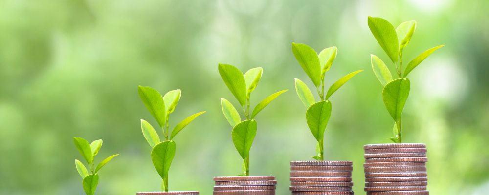 Step,Of,Money,Coins,Stacks,,saving,Coins,Money,Concept,,