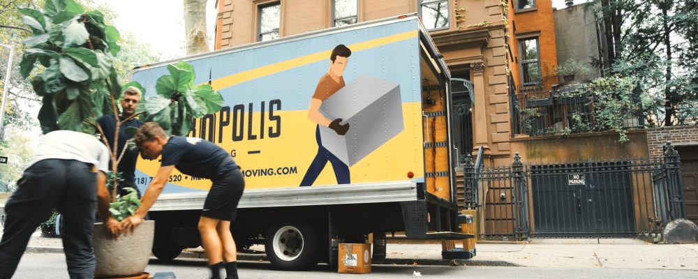handiwork-nyc-x6pnKtPZ-8s-unsplash Movers load boxes and a potted plant into a moving van.