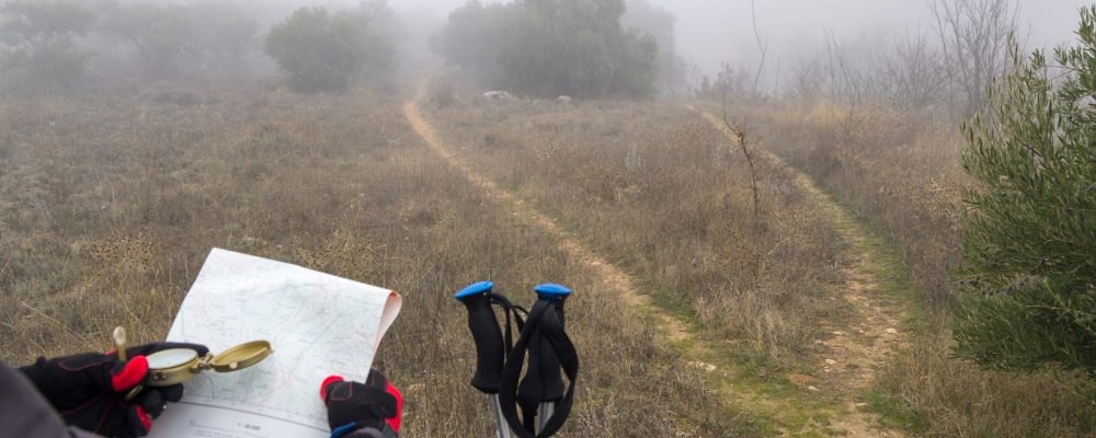 Person,Looking,At,Map,In,Fork,Of,Roads,,With,Walking Person,Looking,At,Map,In,Fork,Of,Roads,,With,Walking