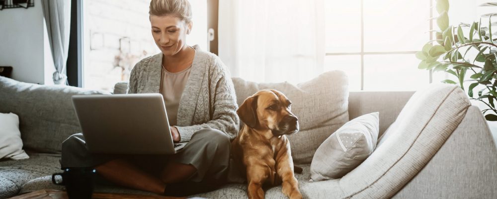 Businesswoman,Working,On,Laptop,Computer,Sitting,At,Home,With,A