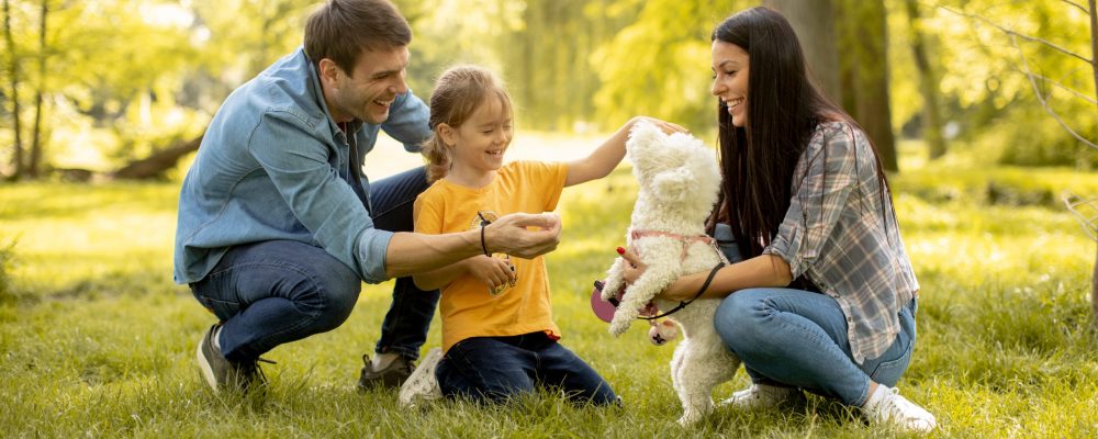 Happy,Young,Family,With,Cute,Bichon,Dog,In,The,Park Happy,Young,Family,With,Cute,Bichon,Dog,In,The,Park