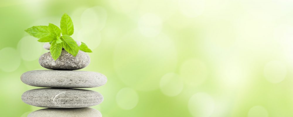 Green,Grass,With,Stones,,Natural,Background,With,Selective,Focus.,Spa